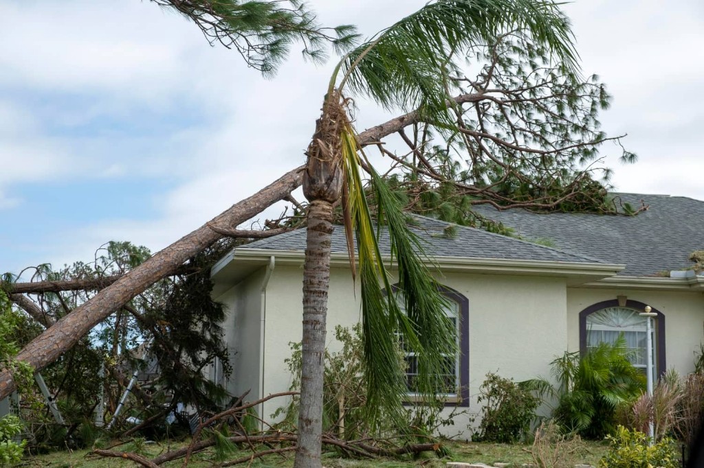 Storm-damaged home with a fallen tree resting on the roof